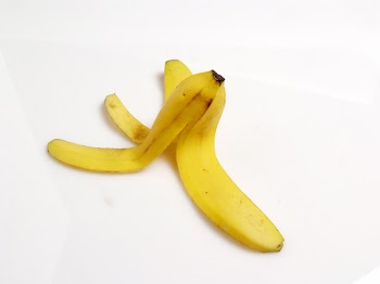 PB272583.jpg