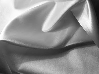 PC032028_silk.JPG