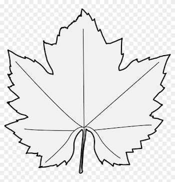 Pdf - Maple Leaf