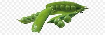 Pea Clip art - Pea Pods PNG Picture 
