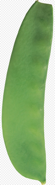 Pea Common Bean Silique Leaf - pea 
