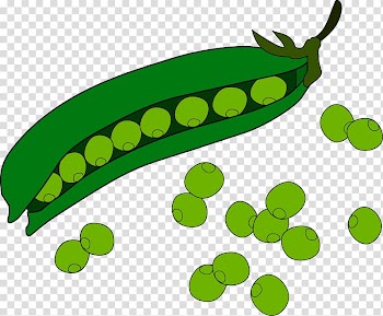 Pea Fruit , peas transparent background PNG clipart