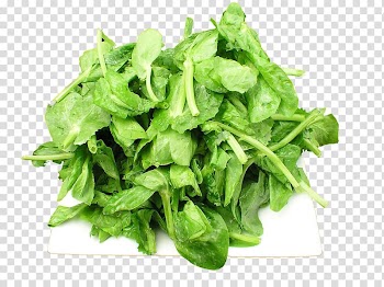 Pea sprout Vegetable Stir frying Ingredient, Fried peas tip transparent background PNG clipart