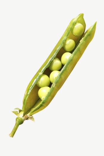 Pea vegetable collage element psd | Free PSD - rawpixel