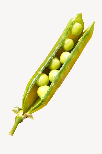 Pea vegetable, food isolated design | Free Photo - rawpixel