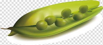 Pea Vegetable Fruit, Peas transparent background PNG clipart