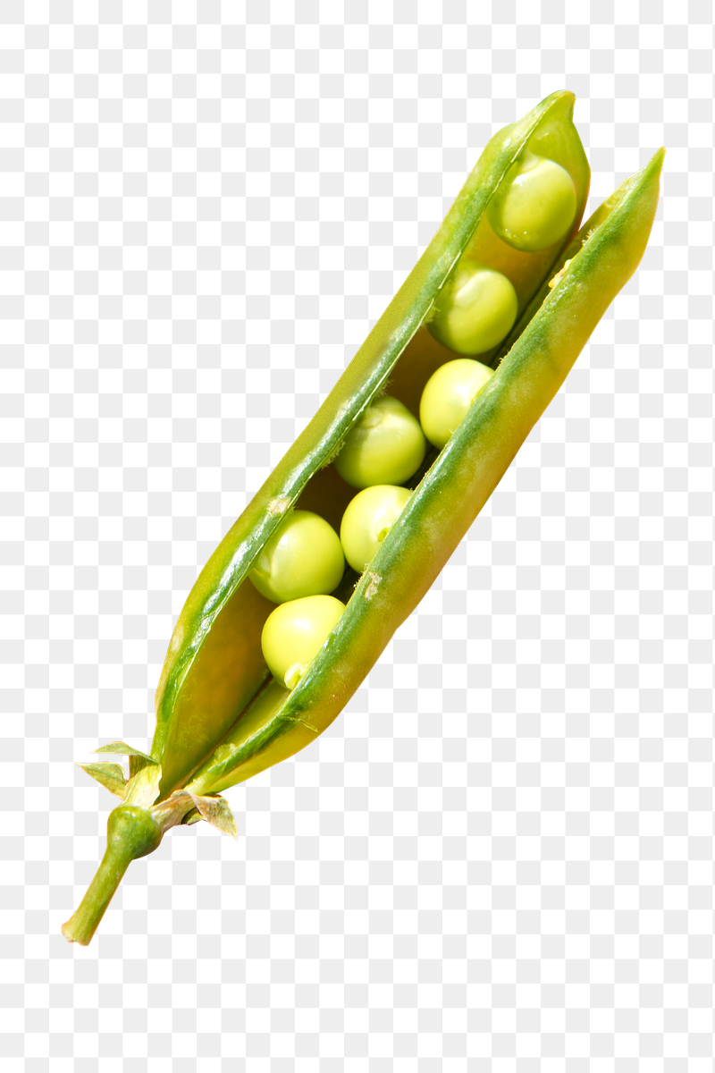 Pea vegetable png food sticker, | Free PNG - rawpixel