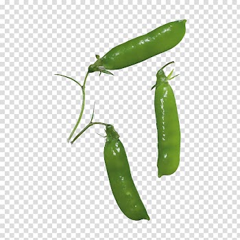 Pea Vegetable , Three pea pods transparent background PNG clipart