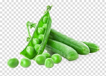 Pea Vegetarian cuisine Vegetable Food, peas transparent background PNG clipart