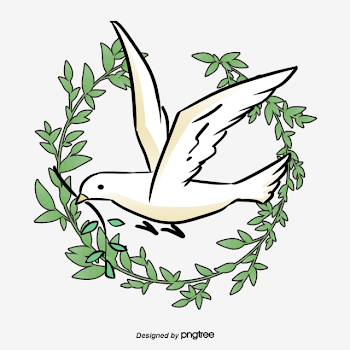 Peace Dove, Pigeon, Olive Branch, Olive PNG Image and Clipart for ...
