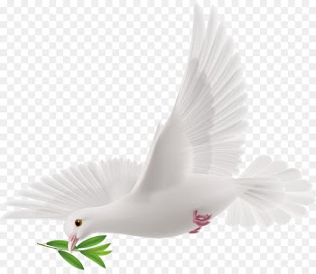 Peace - Peace dove decorative design vector 