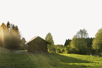 Peaceful cottage background, morning nature | Free PSD - rawpixel