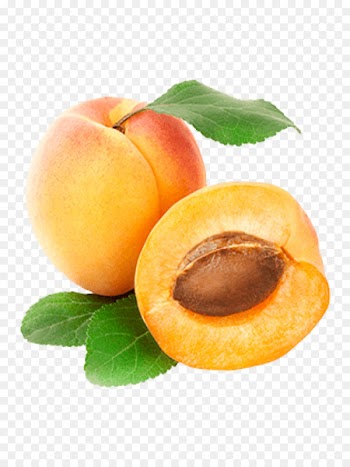 Peach Apricot Fruit Clip art - apricot 