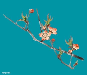 Peach by Kōno Bairei (1844-1895). Digitally .. | Free stock vector - 467141