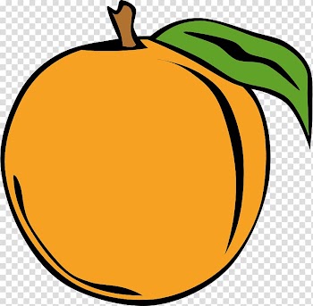 Peach Computer Icons , peach transparent background PNG clipart