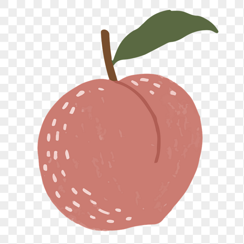 Peach doodle png fruit sticker, | Free PNG - rawpixel