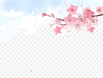 Peach Flower Cherry blossom - Creative watercolor blooming peach illustrator elements 