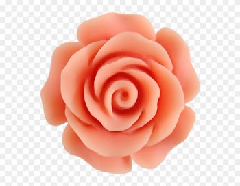 Peach Flower Clipart - Flower Border Peach Clipart