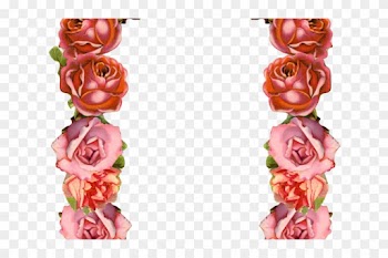 Peach Flower Clipart Old Fashioned Flower - Transparent Background Pink Border Design