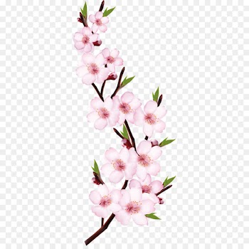 Peach Flower Shoot - Peach Blossom matched red 