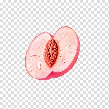 Peach Fruit Auglis, Peach transparent background PNG clipart