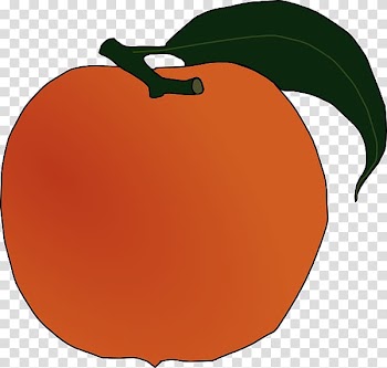 Peach Fruit , peach branch transparent background PNG clipart