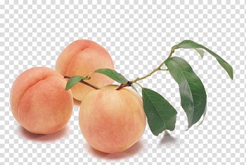 Peach fruit, Peach Melba Silkie Auglis, peach transparent background PNG clipart