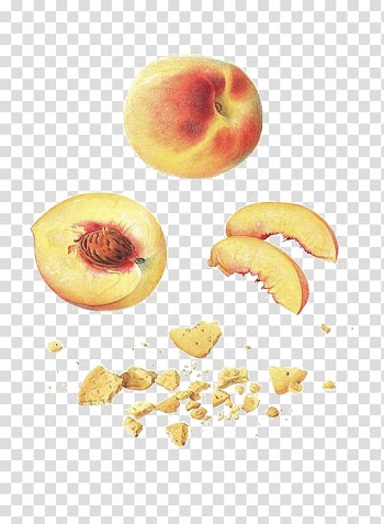 Peach Fruit, peach transparent background PNG clipart