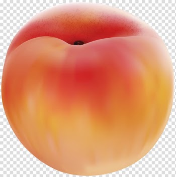 Peach Fruit , Peach transparent background PNG clipart