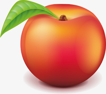 Peach, Fruit, Peach Vector PNG and Vector with Transparent ...