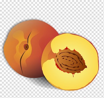 Peach Fruit , Pomegranate transparent background PNG clipart