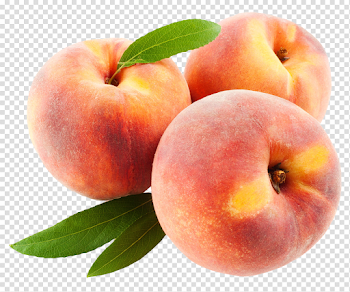 Peach Fruits with leaf PNG Image - PurePNG | Free transparent CC0 ...