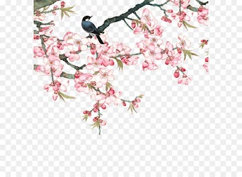 Peach Goods Film - Birds in the branches 