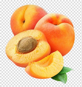 Peach illustration, Apricot Marmalade Fruit, Apricots transparent background PNG clipart