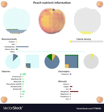 Peach nutrient information vector image