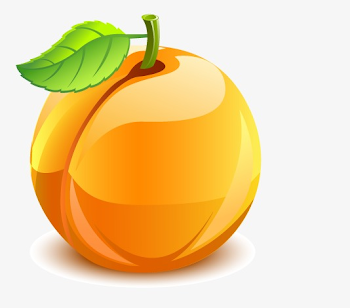 Peach PNG and Vector with Transparent Background for Free Download