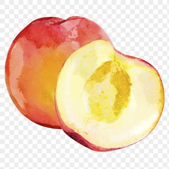 Peach png clipart, fruit sticker | Free PNG - rawpixel
