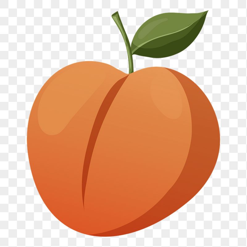 Peach png sticker, cute illustration, | Free PNG Illustration - rawpixel
