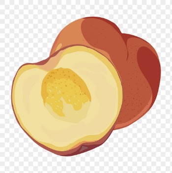 Peach png sticker, fruit illustration | Free PNG - rawpixel