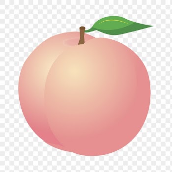 Peach png sticker, fruit illustration | Free PNG - rawpixel