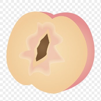 Peach png sticker, fruit illustration | Free PNG - rawpixel