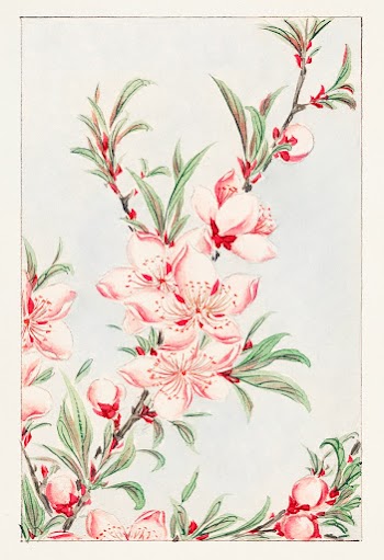 Peach tree branches with leaves and blossoms during 1870&ndash;1880 by Megata Morikaga. Original from Library of Congress. Digitally enhanced by rawpixel.