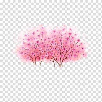 Peach Tree Cartoon, Plum flower transparent background PNG clipart