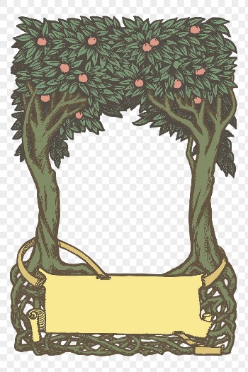 Peach tree png frame, botanical | Free PNG - rawpixel