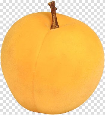 Peaches and cream Apricot Auglis, apricot transparent background PNG clipart