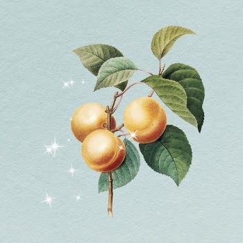 Peaches branch clipart, vintage fruit | Free Photo - rawpixel