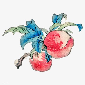 Peaches by Kōno Bairei (1844-1895). Digitall.. | Free stock vector - 467194