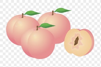 Peaches png sticker, fruit illustration | Free PNG - rawpixel