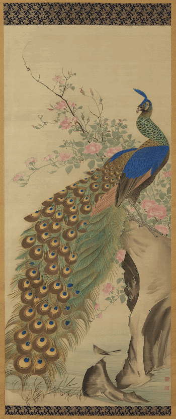 Peacock and flowers (right of a pair | Free Photo - rawpixel