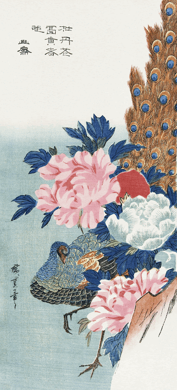 Peacock and peonies, vintage Japanese | Free Photo Illustration - rawpixel